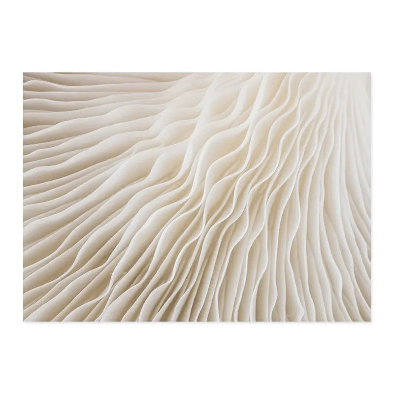 Boho Abstract Matisse Beige Wall Art