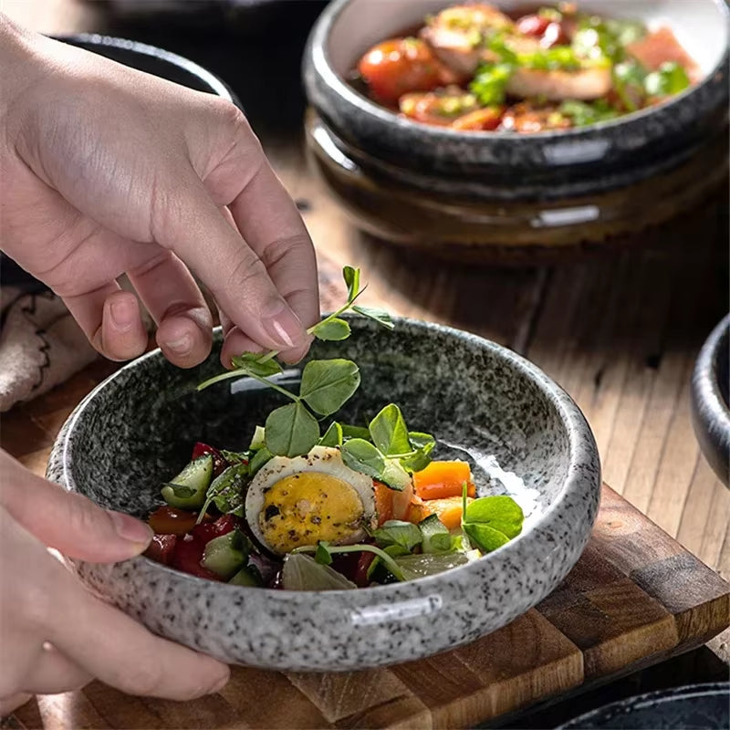 Creative Retro Ceramic Sushi Dishes