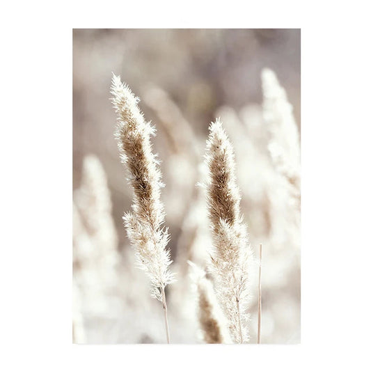 Beige Flower Grass Scenery Wall Art